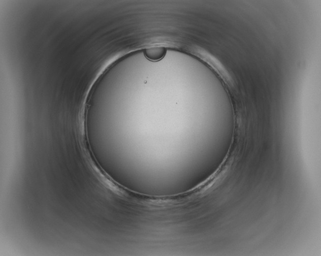 X0000113211236200909101125