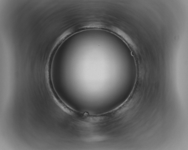X0000113211237200909101125