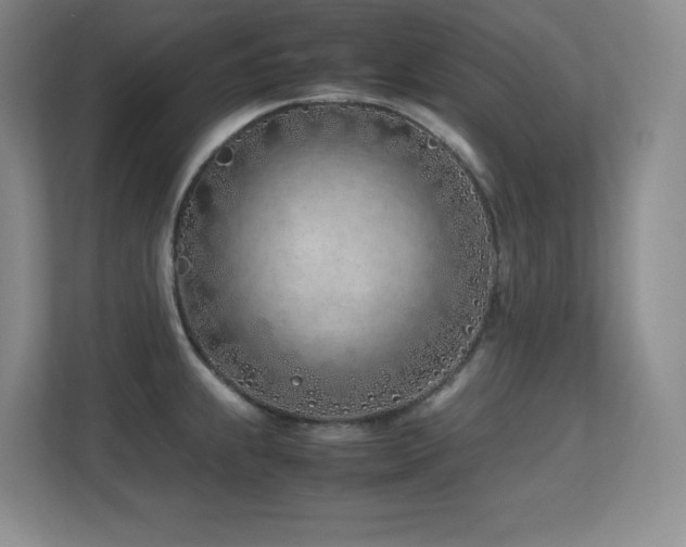 X0000113211239200909101125