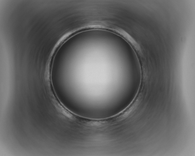 X0000113211240200909101125
