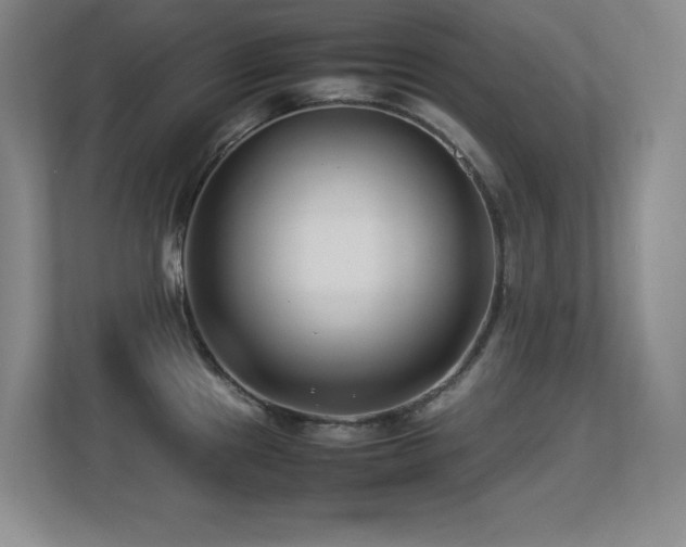 X0000113211241200909101125