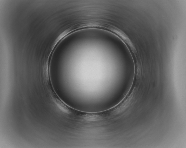 X0000113211242200909101125