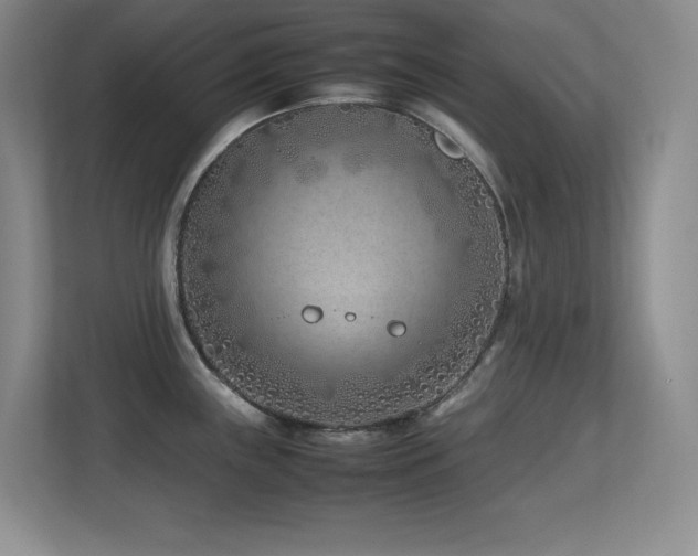 X0000113211243200909101125