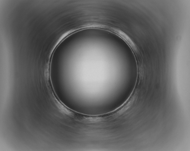 X0000113211244200909101125