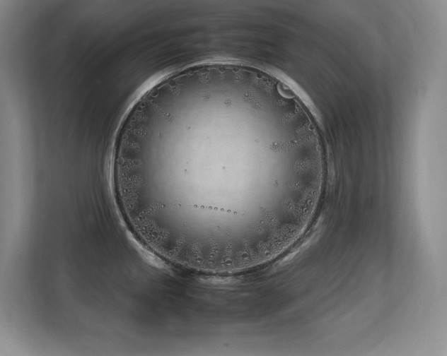 X0000113211245200909101125
