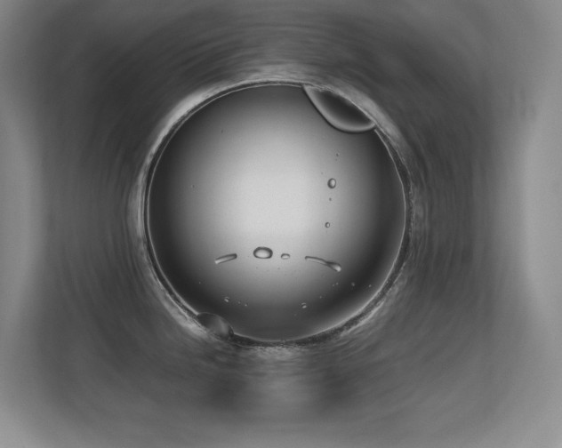 X0000113211246200909101125