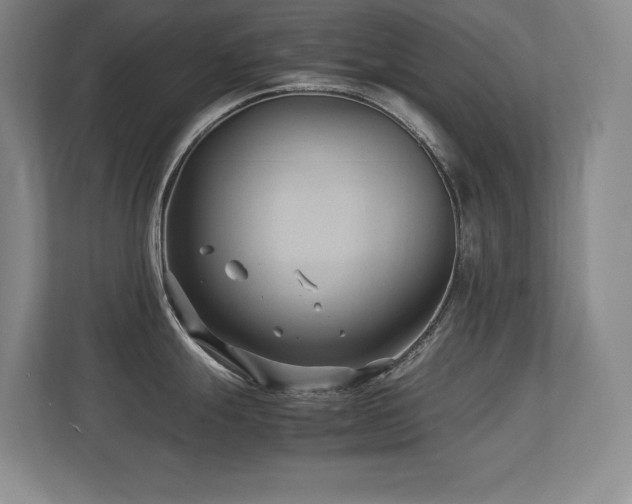 X0000113211247200909101125