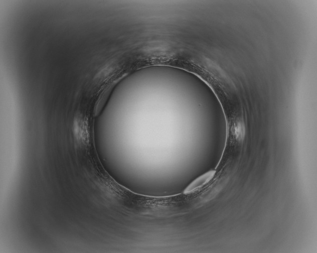 X0000113211252200909101125