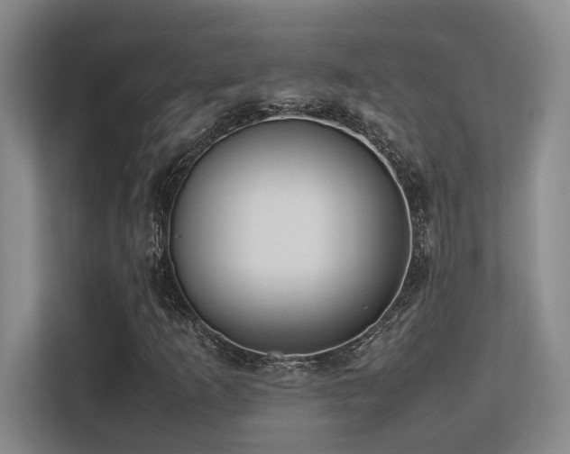 X0000113211253200909101125