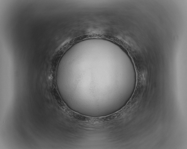 X0000113211254200909101125