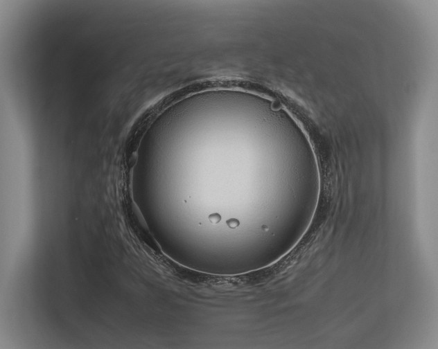 X0000113211255200909101125