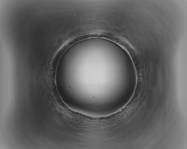 X0000113211256200909101125