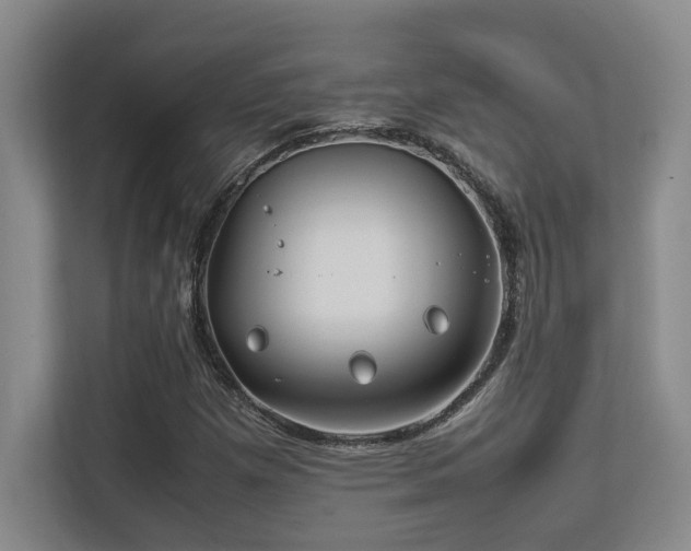 X0000113211257200909101125