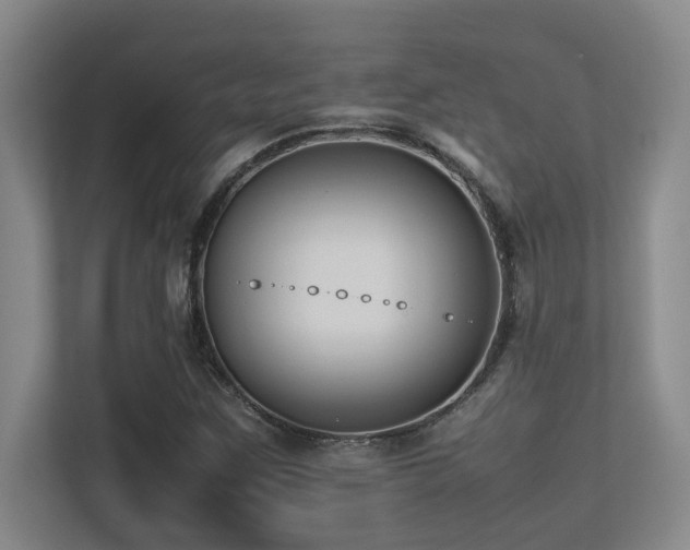 X0000113211259200909101125