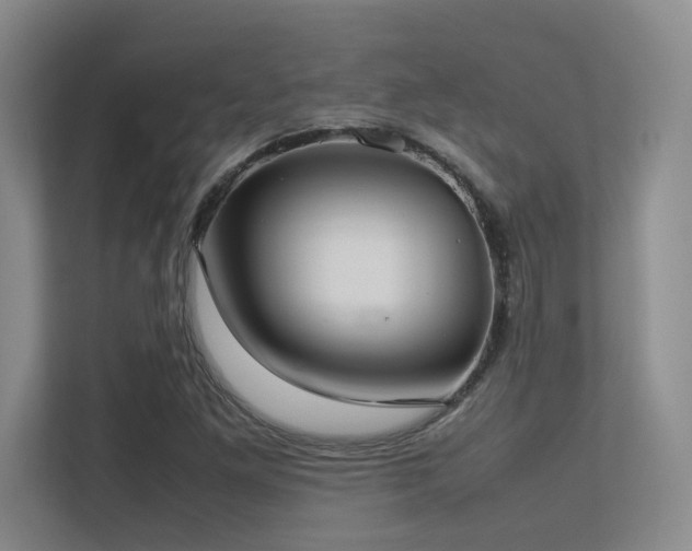 X0000113211261200909101125