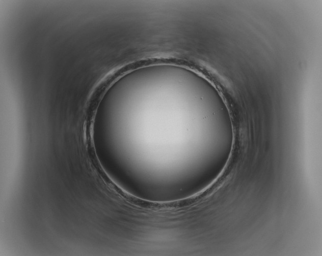 X0000113211262200909101125