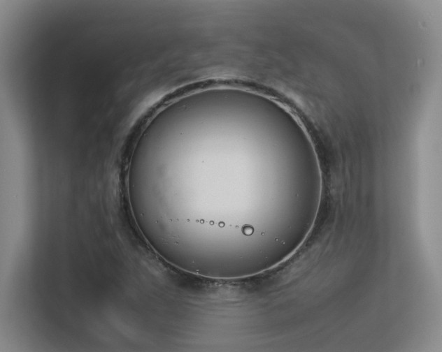 X0000113211263200909101125