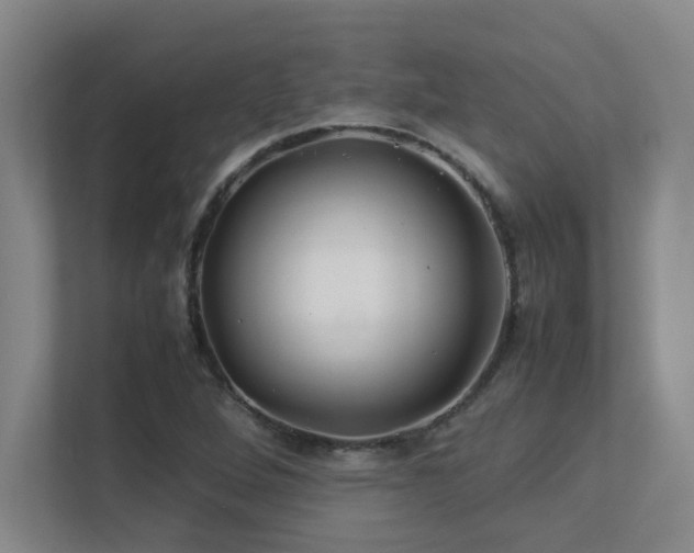 X0000113211264200909101125