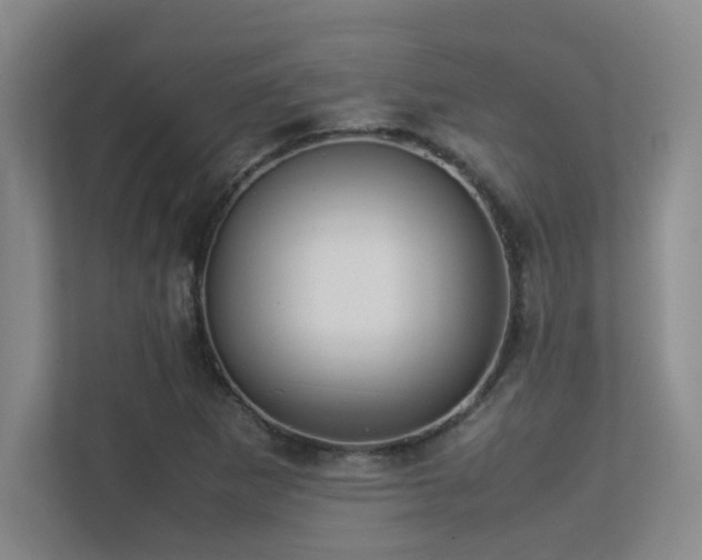 X0000113211265200909101125