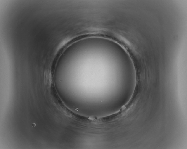 X0000113211267200909101125
