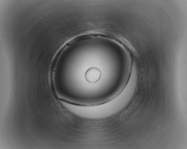 X0000113211268200909101125