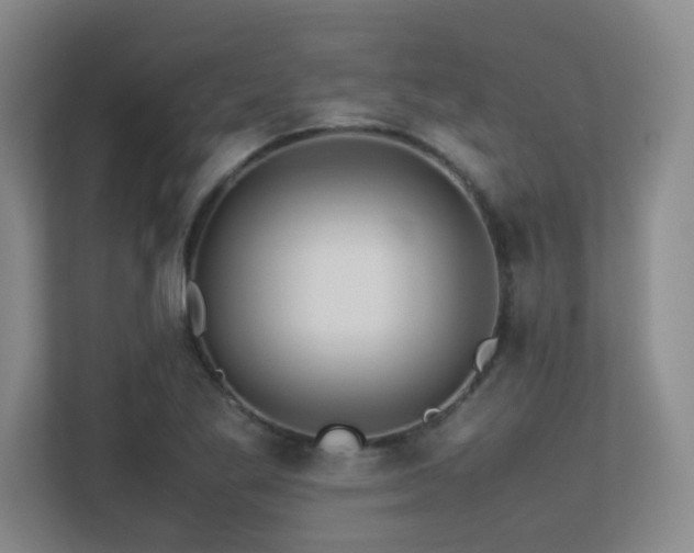 X0000113211269200909101125