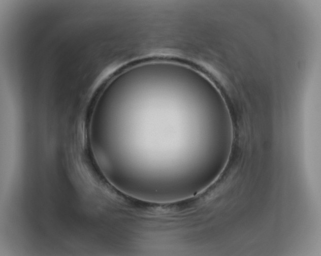 X0000113211271200909101125