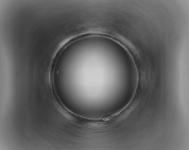 X0000113211272200909101125