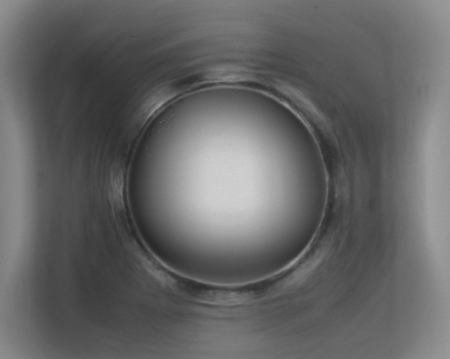 X0000113211273200909101125