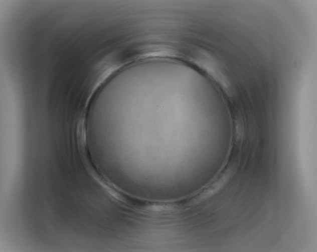 X0000113211274200909101125
