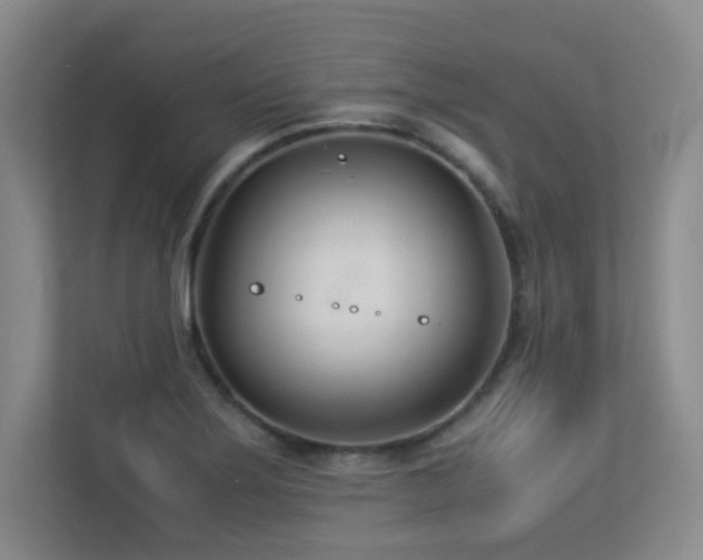 X0000113211275200909101125