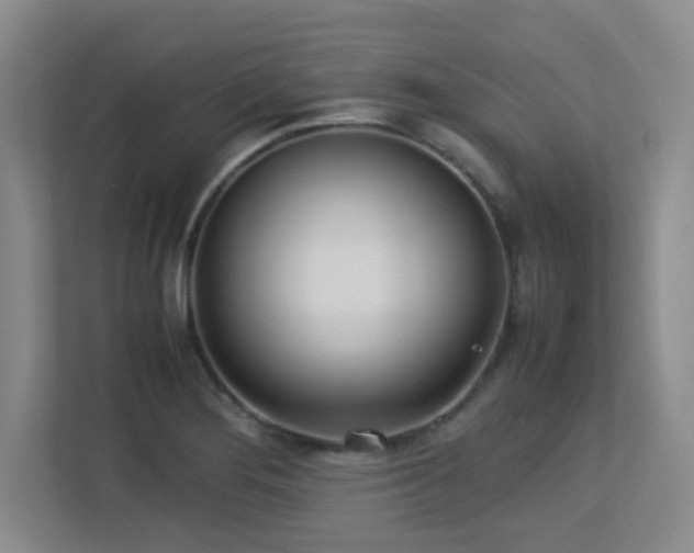 X0000113211276200909101124