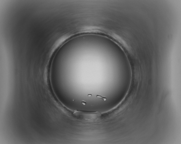 X0000113211277200909101124