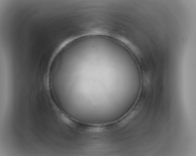 X0000113211278200909101124