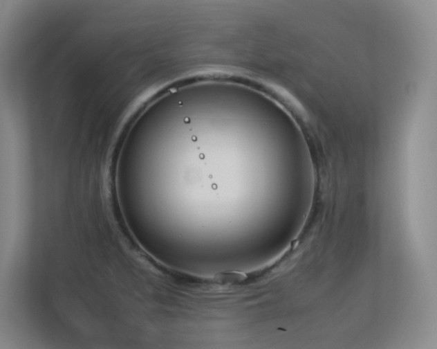 X0000113211279200909101124