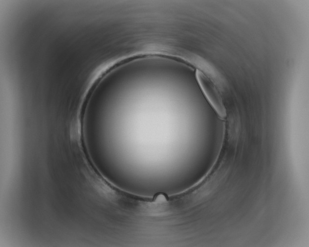 X0000113211280200909101124