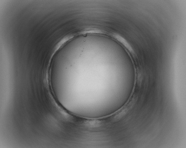X0000113211282200909101124