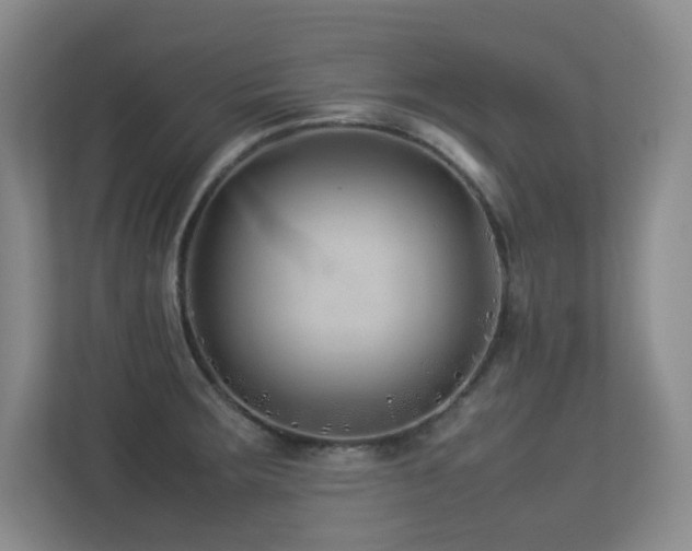 X0000113211283200909101124