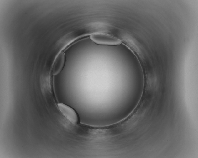 X0000113211284200909101124