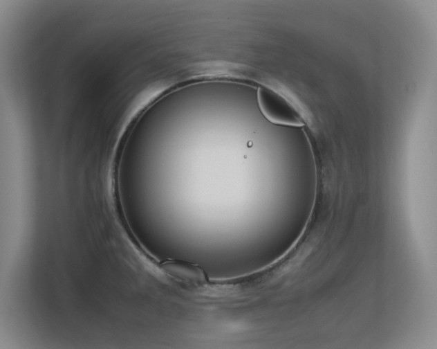 X0000113211285200909101124