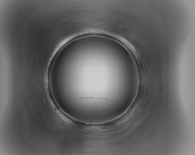 X0000113211287200909101124