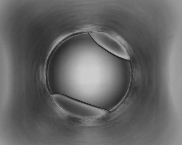 X0000113211288200909101124