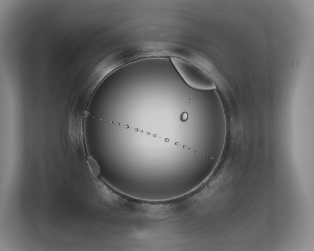 X0000113211289200909101124