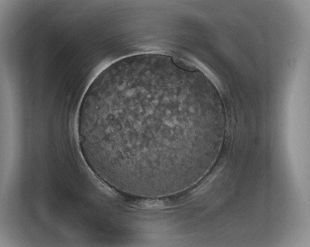 X0000113211291200909101124