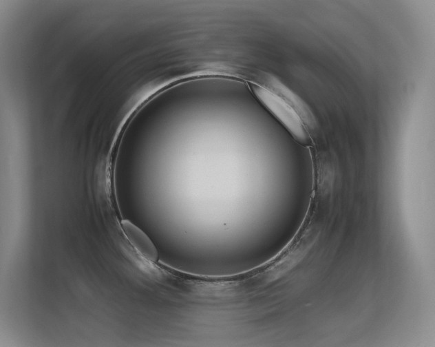 X0000113211292200909101124