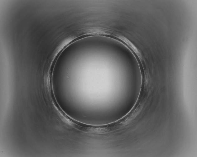 X0000113211293200909101124