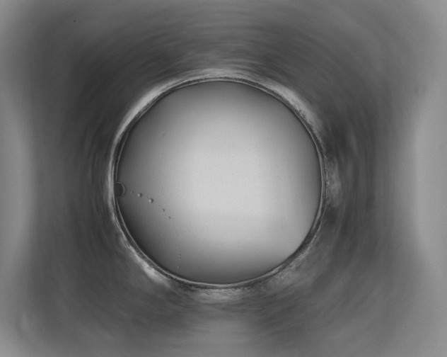 X0000113211294200909101124