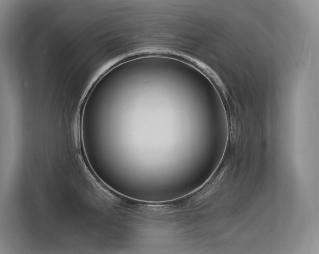 X0000113211295200909101124