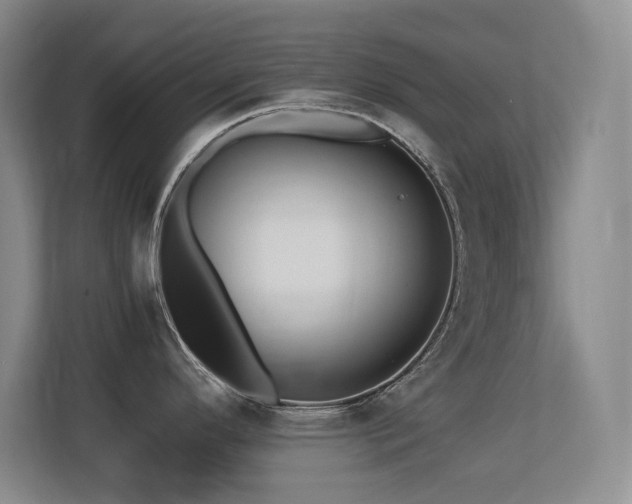 X0000113211296200909101124