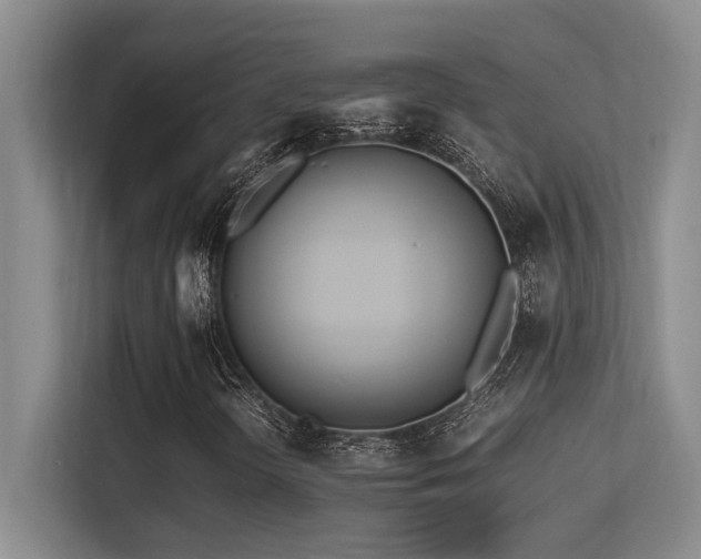 X0000113211298200909101124